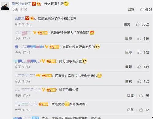 娱乐吃瓜酱评论区,揭秘明星幕后故事,笑料百出